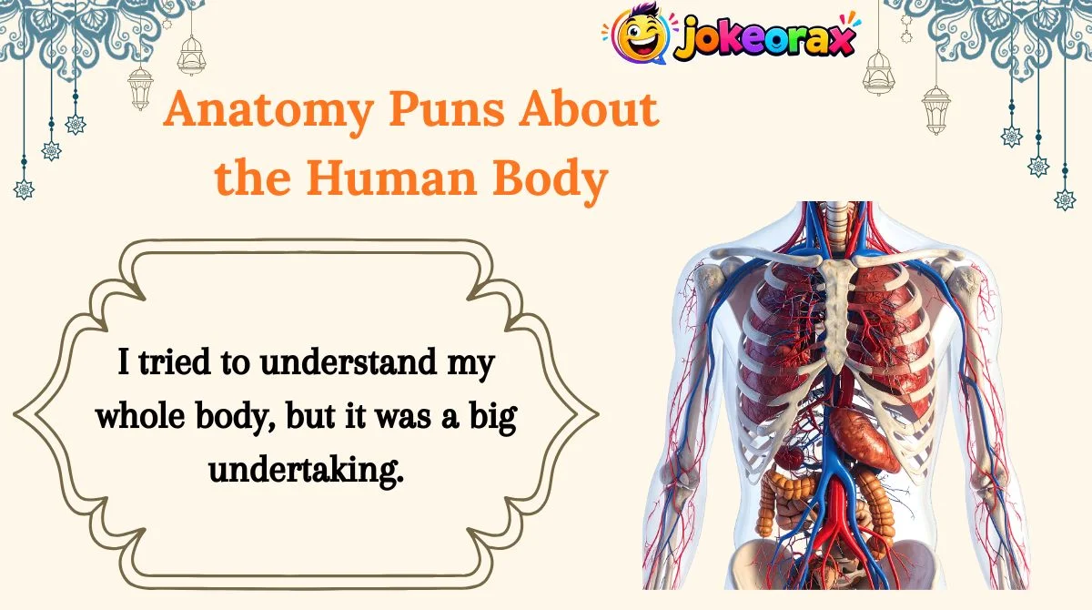 Anatomy Puns About the Human Body