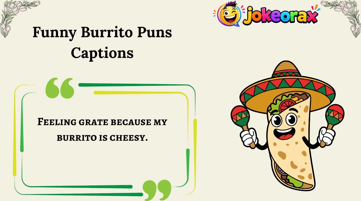 Funny Burrito Puns Captions