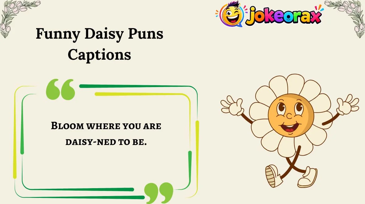 Funny Daisy Puns Captions