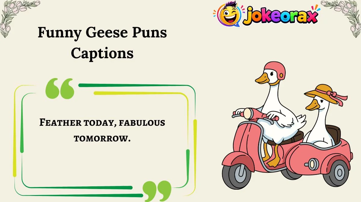 Funny Geese Puns Captions