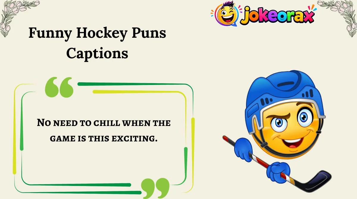 Funny Hockey Puns Captions