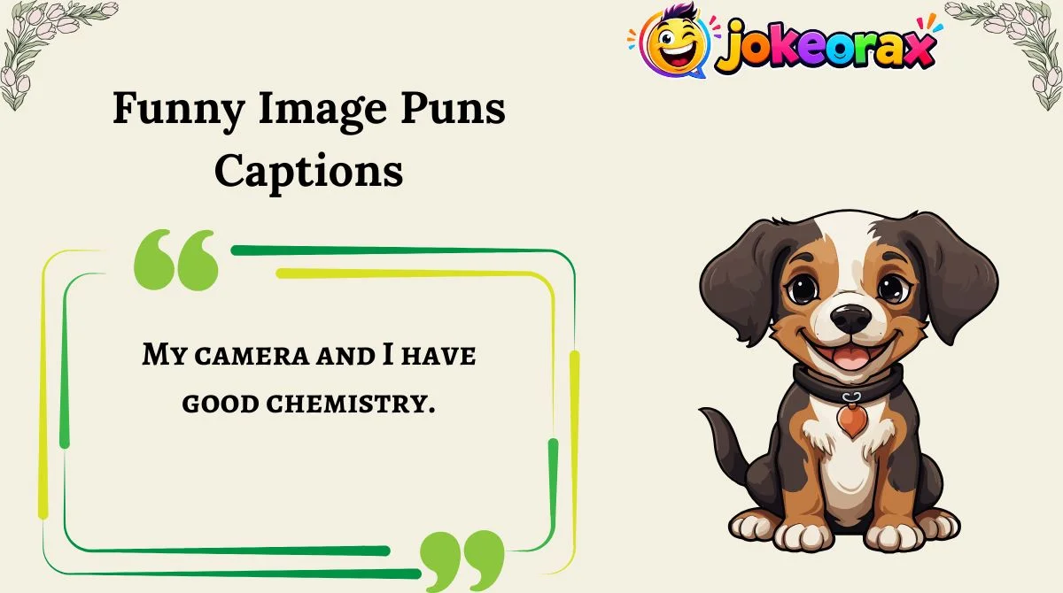 Funny Image Puns Captions
