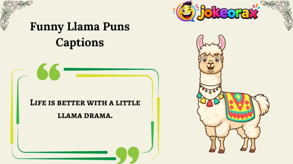 Funny Llama Puns Captions