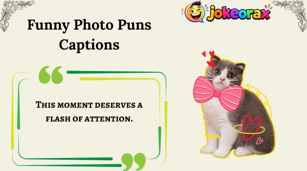 Funny Photo Puns Captions