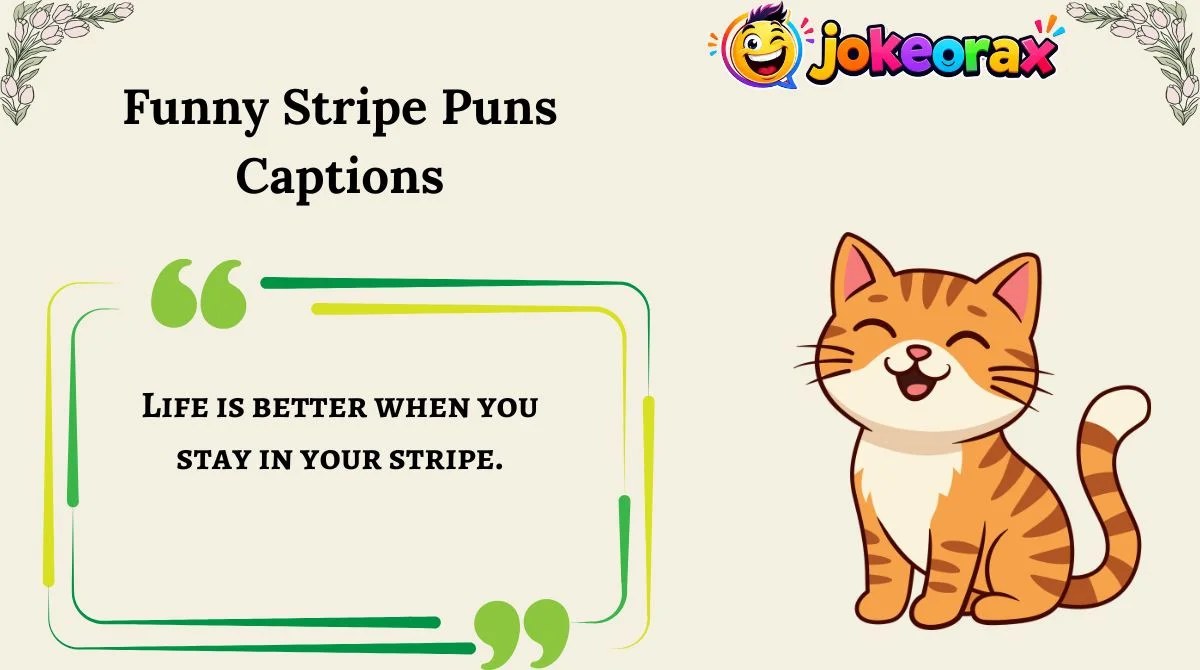 Funny Stripe Puns Captions