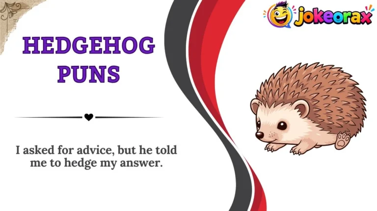 Hedgehog Puns