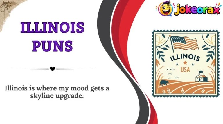 Illinois Puns