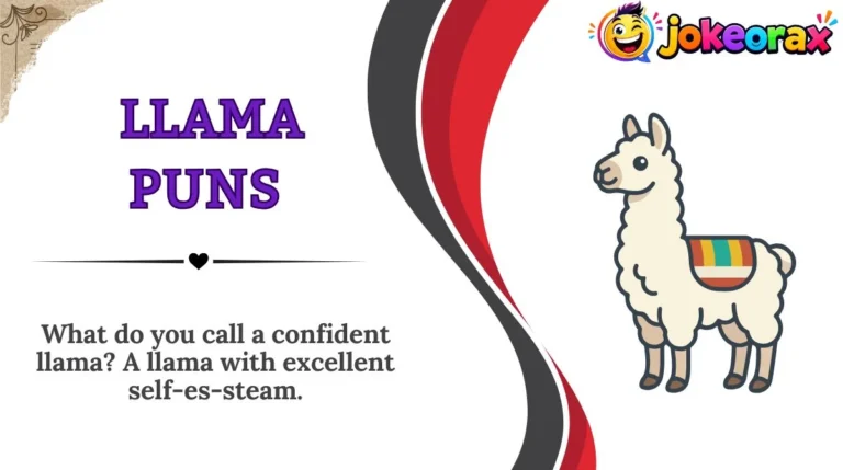 Llama Puns