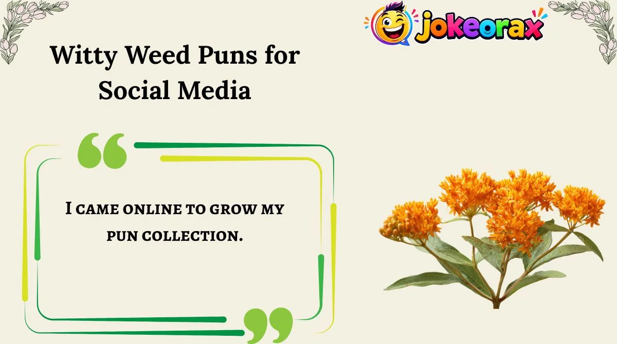 Witty Weed Puns for Social Media