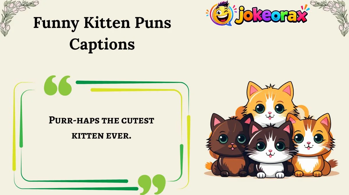 Funny Kitten Puns Captions