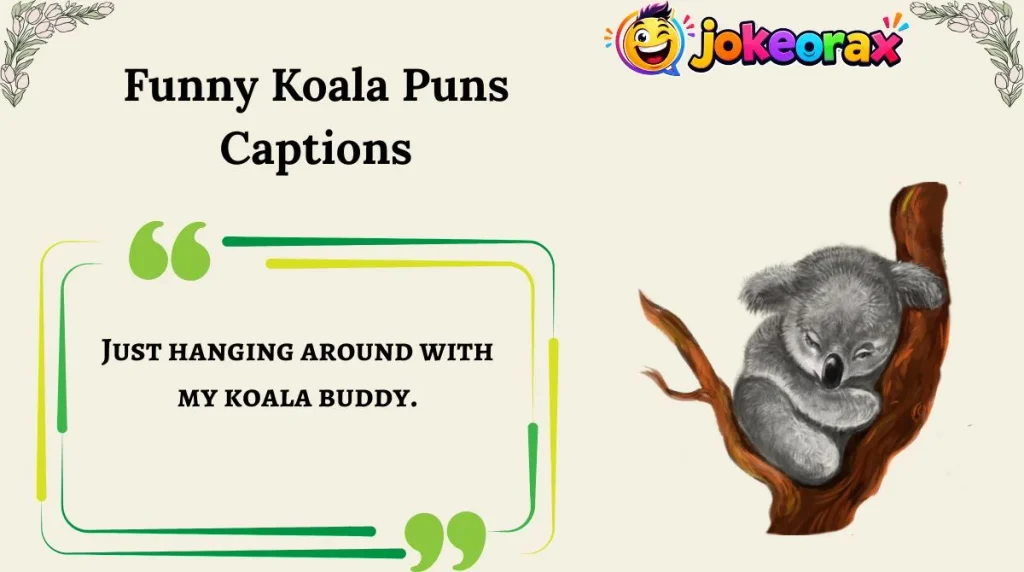 Funny Koala Puns Captions