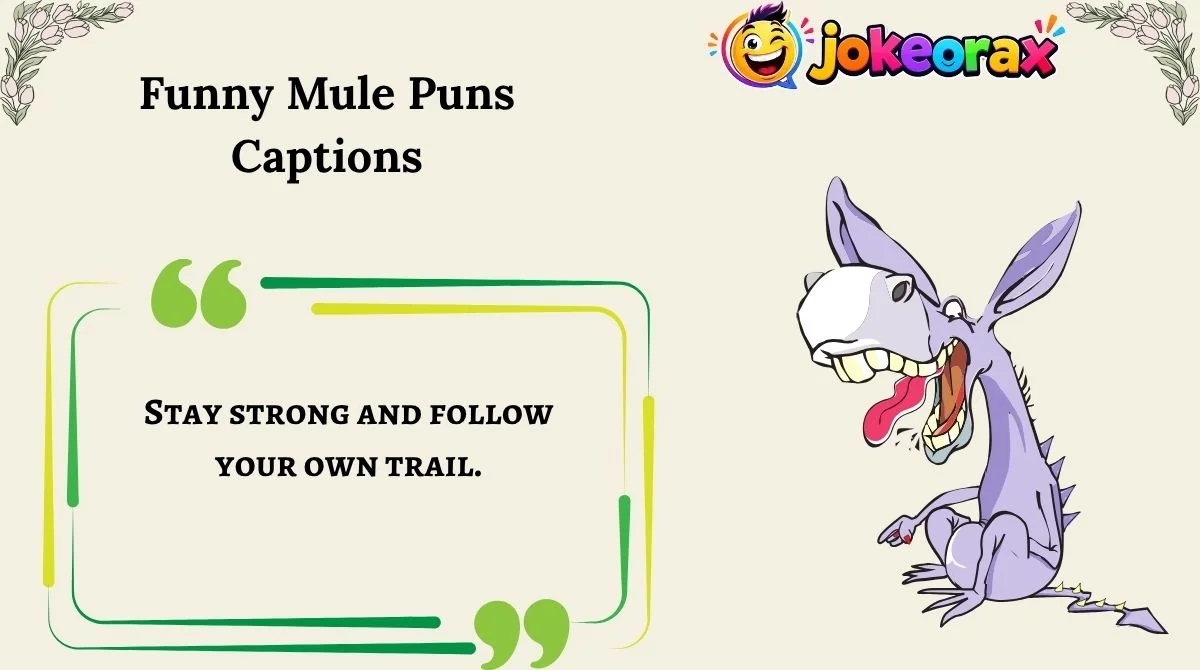 Funny Mule Puns Captions