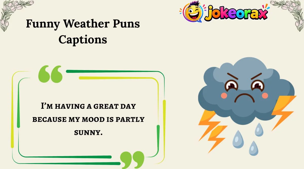 Funny Weather Puns Captions