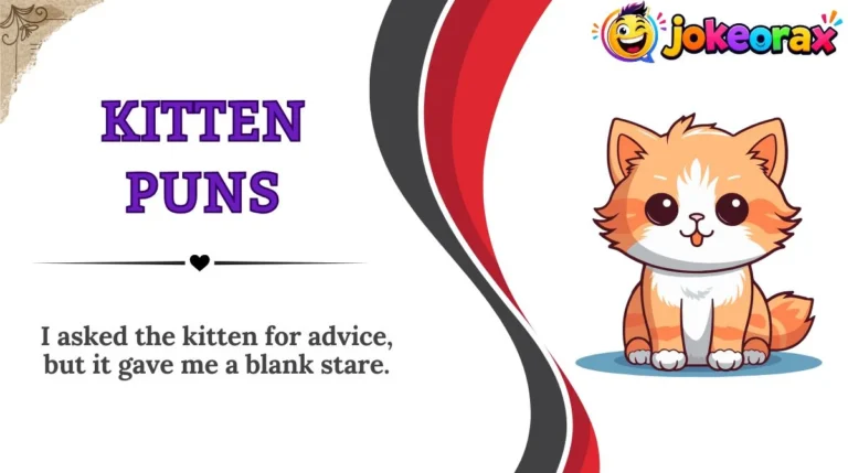 Kitten Puns