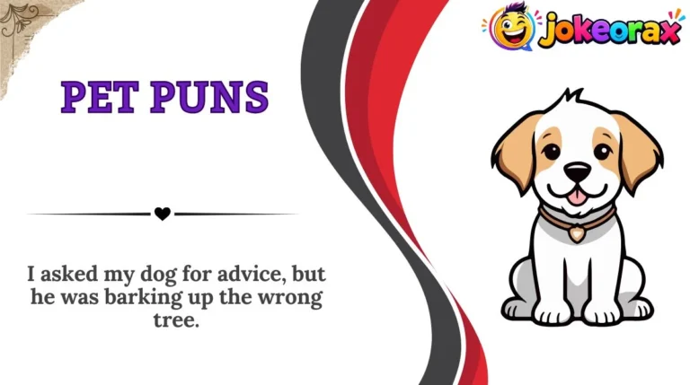 Pet Puns