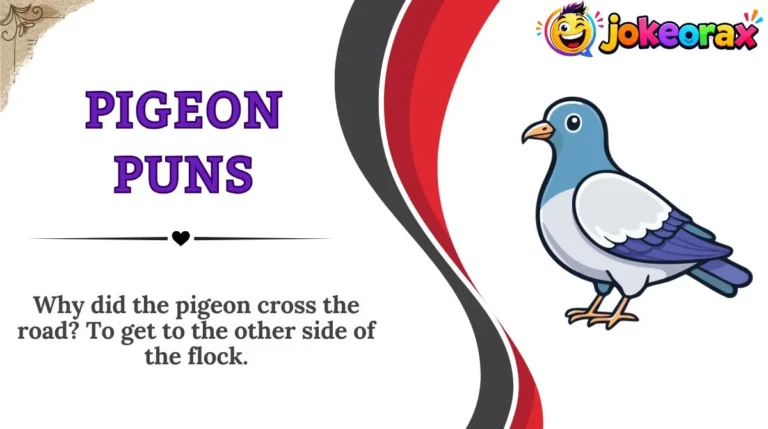 Pigeon Puns