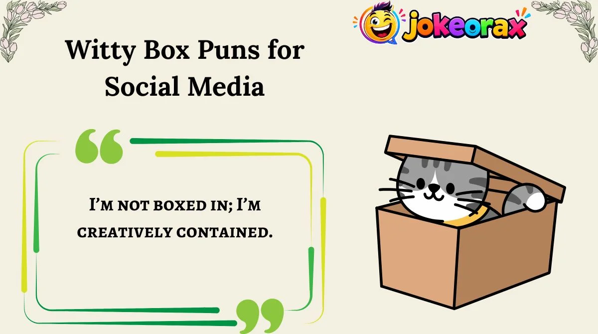 Witty Box Puns for Social Media