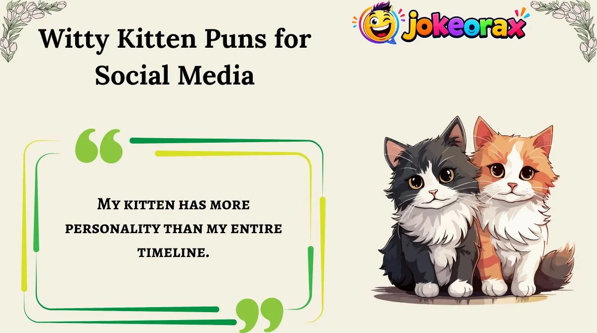 Witty Kitten Puns for Social Media