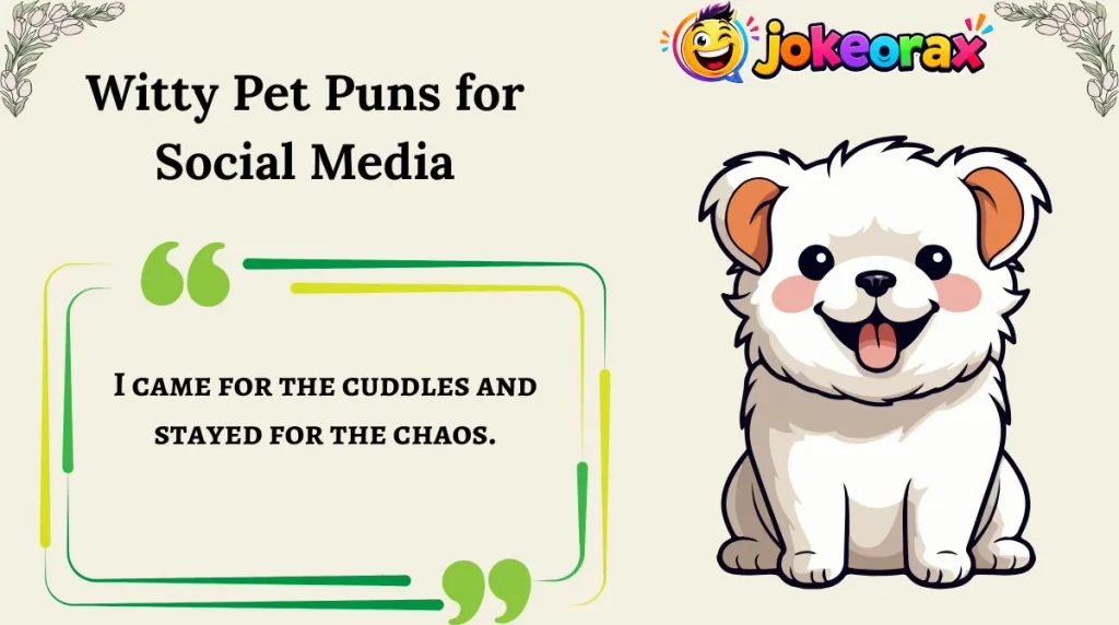 Witty Pet Puns for Social Media
